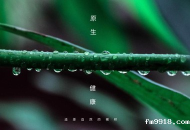 青岛包装设计定制_青岛包装设计定制公司